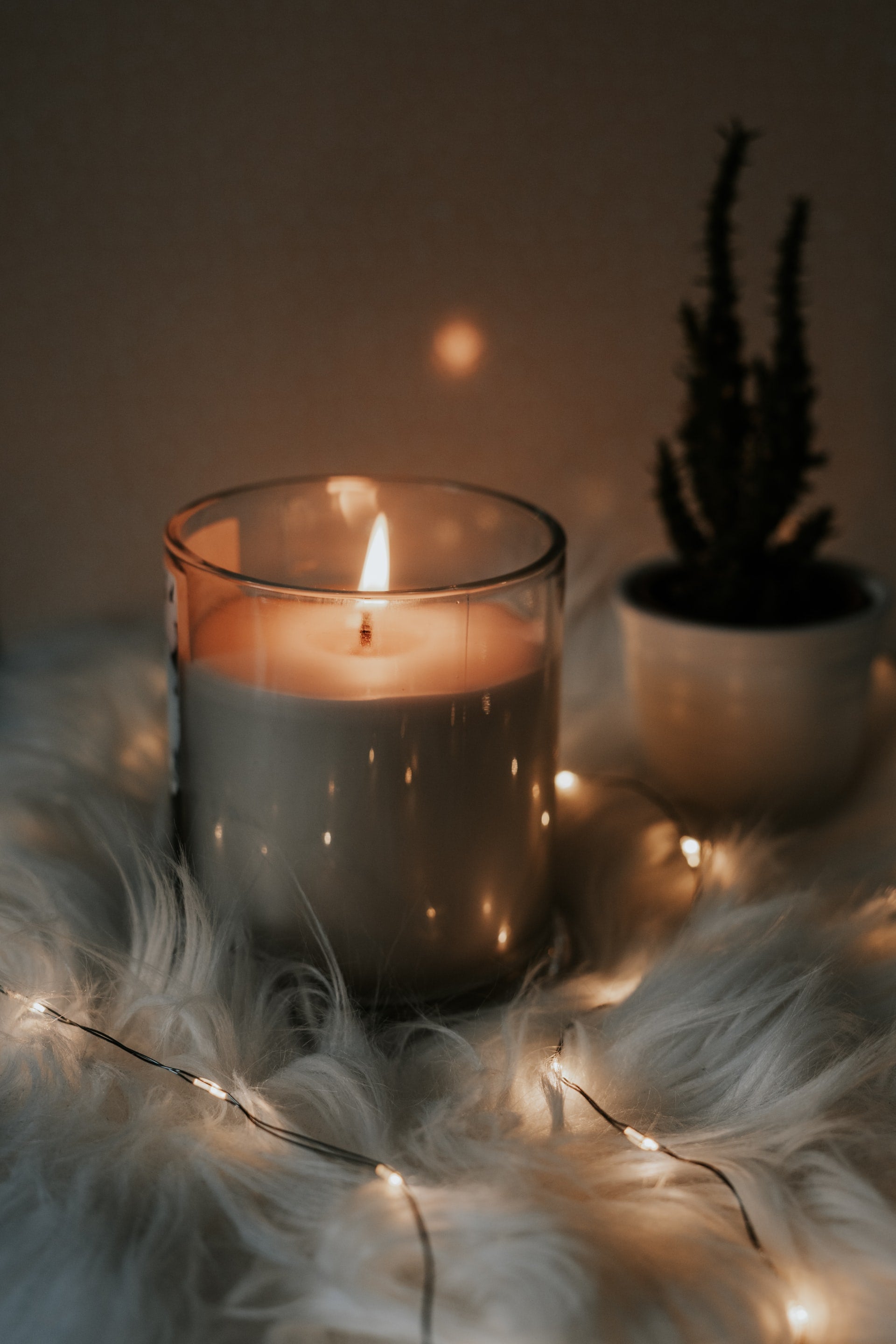 BEST FALL SCENTED CANDLES DARLING